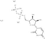 Uridine-5'-diphosphate disodium salt
