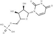 Uridine 5'-monophosphate