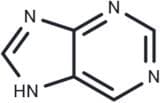Purine