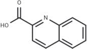 Quinoline-2-carboxylic acid
