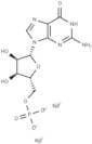5'-Guanylic acid disodium salt