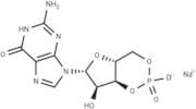 GUANOSINE 3':5'-CYCLIC MONOPHOSPHATE SOD