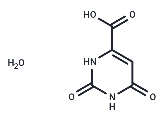 Orotic acid monohydrate