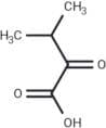 3-Methyl-2-oxobutanoic acid
