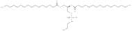 1,2-Dipalmitoyl-sn-glycero-3-phosphoethanolamine