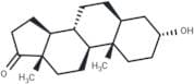 Androsterone