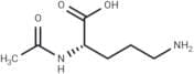 N-Acetylornithine