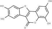 Isodemethylwedelolactone