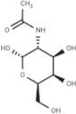 N-Acetyl-D-galactosamine