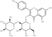 Kaempferol-3-O-glucorhamnoside