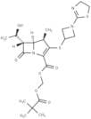Tebipenem Pivoxil