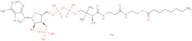 Octanoyl coenzyme A lithium
