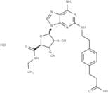 CGS 21680 Hydrochloride