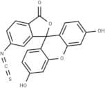 Fluorescein-6-isothiocyanate