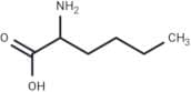 2-Aminohexanoic acid