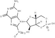 8-Nitro-cGMP