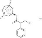 Atropine Oxide Hydrochloride