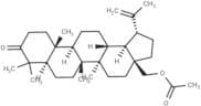 3-Oxobetulin Acetate