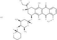 Pirarubicin HCl