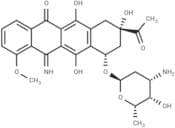 5-Iminodaunorubicin
