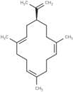 (+)-Cembrene A