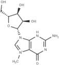 7-Methylguanosine