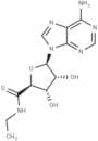 5'-N-Ethylcarboxamidoadenosine