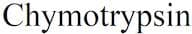 Chymotrypsin