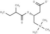 2-Methylbutyrylcarnitine
