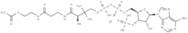Acetyl coenzyme A lithium