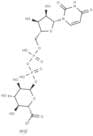 Uridine diphosphate glucuronic acid ammonium