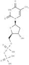 Thymidine 5′-diphosphate