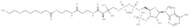 Decanoyl coenzyme A