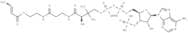 Crotonyl-CoA