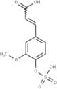Ferulic acid 4-O-sulfate