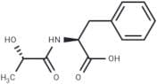 N-Lactoyl-Phenylalanine