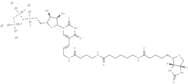 Biotin-16-UTP