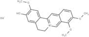 Jatrorrhizine hydroxide