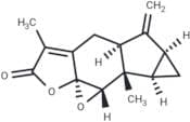Chloranthalactone B