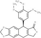 β-Apopicropodophyllin