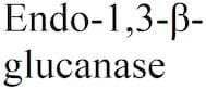 Endo-1,3-β-glucanase