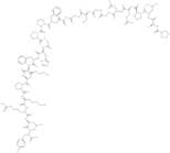 Brain Derived Basic Fibroblast Growth Factor (1-24)