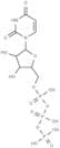 Uridine triphosphate