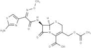 Cefotaxime
