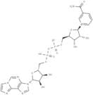 Nicotinamide 1,N6-ethenoadenine dinucleotide