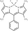 8-Phenyl-BODIPY 505/515