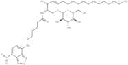 C6 NBD Glucosylceramide