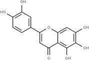 6-Hydroxyluteolin