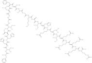 TP4 (Nile tilapia piscidin)