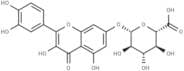 Quercetin 7-glucuronide